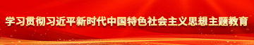 美女日逼的视频学习贯彻习近平新时代中国特色社会主义思想主题教育